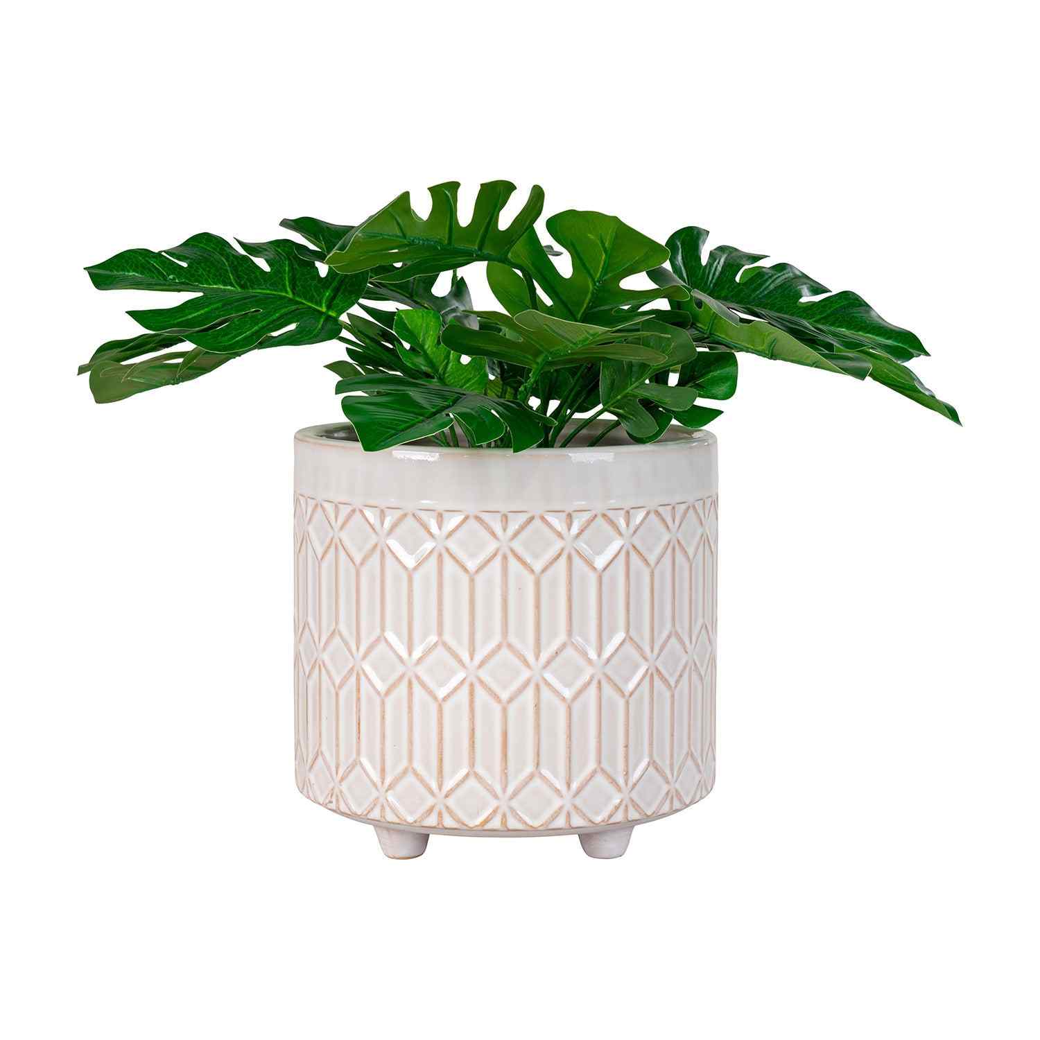 Groene varens in een stijlvol, geometrisch patroon pot op witte achtergrond.